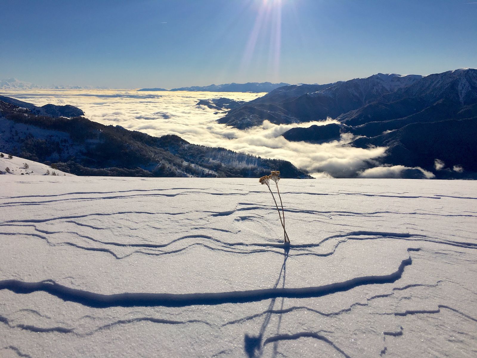 raid a ski, val maira,freeride,guide haute montagne, ski touring,offpist,mountainguide,cuneo, argentera, ski de rando