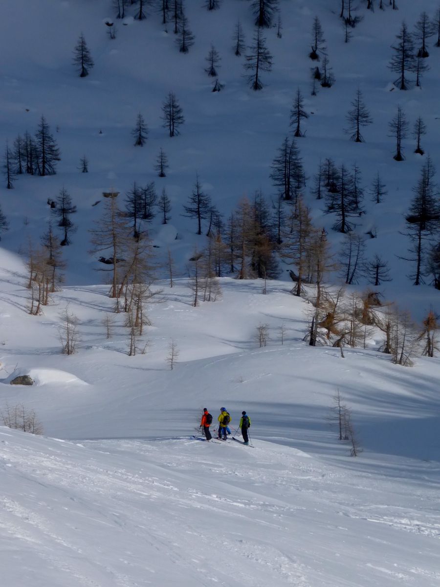 raid a ski, val maira,freeride,guide haute montagne, ski touring,offpist,mountainguide,cuneo, argentera, ski de rando
