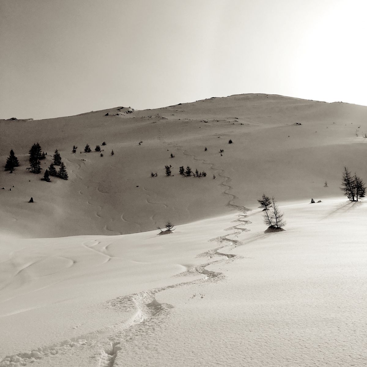 bad gastein,autriche,ski,freeride,rando,skitour,cascade,iceclimbing,mountain guide,snow,ice, trip