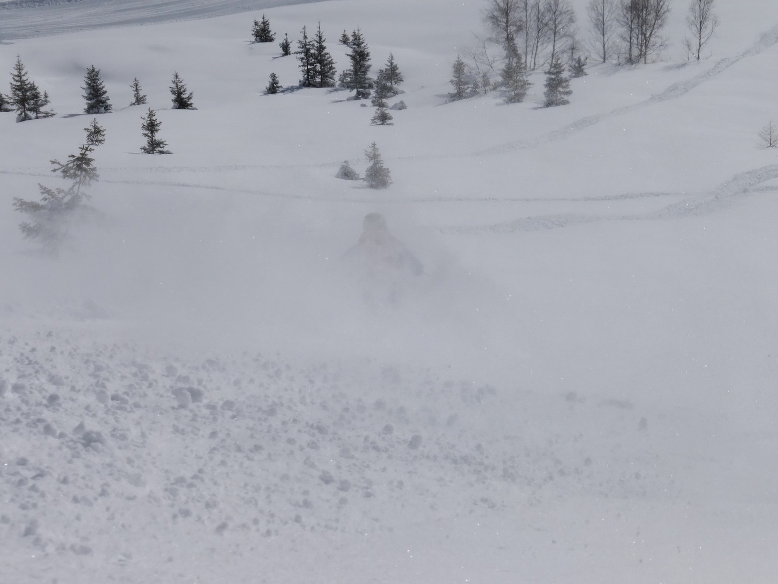 ski,chamonix,brevent,flegere,grands montets,hors piste,freeride,guide haute montagne,off piste,vallée blanche, ski touring, snow,powder,mountainguide,mpuntain,mont blanc,aiguille du midi, black crows, dynastar,freeride day,ski course