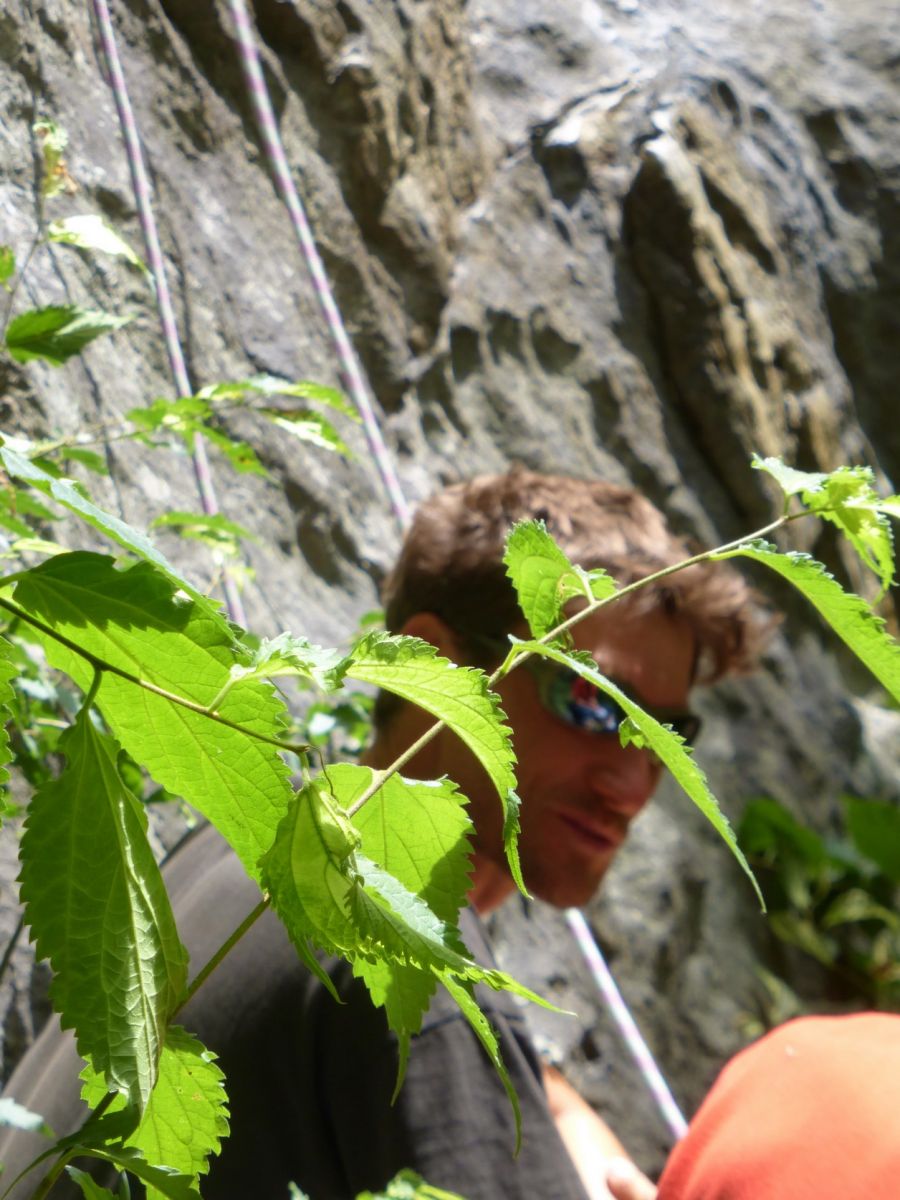 escalade,chamonix,brevent,guide,haute,montagne,rock,climbing,mountain,guide,mont,blanc, granit,rock,course,frison-roche,ex-libris,rebuffat route,aiguille,midi