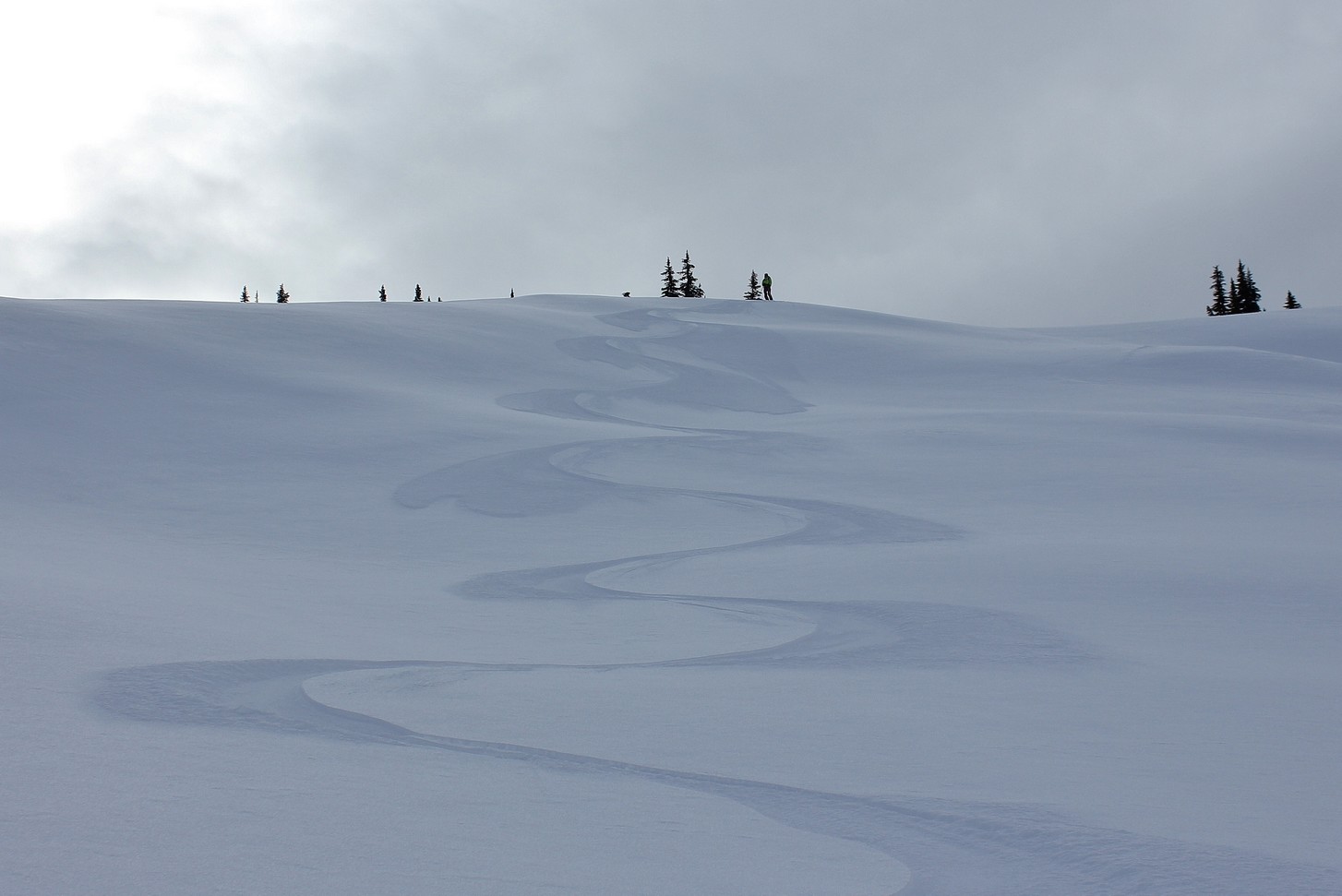 ski,freeride,revelstoke,monashees,ski touring,snow, mountainguide,heliski,off pist,guide haute montagne, ski de rando, randonnée, hors piste,poudre