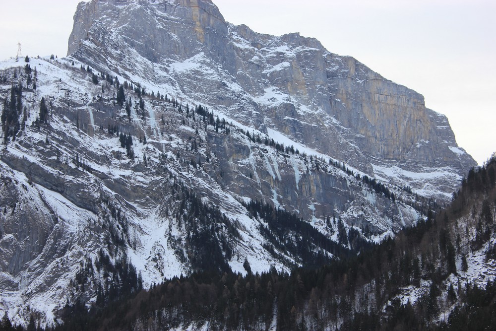 ice,climbing,chamonix,beginner,advanced,mountain,guide,iceclimbing,course